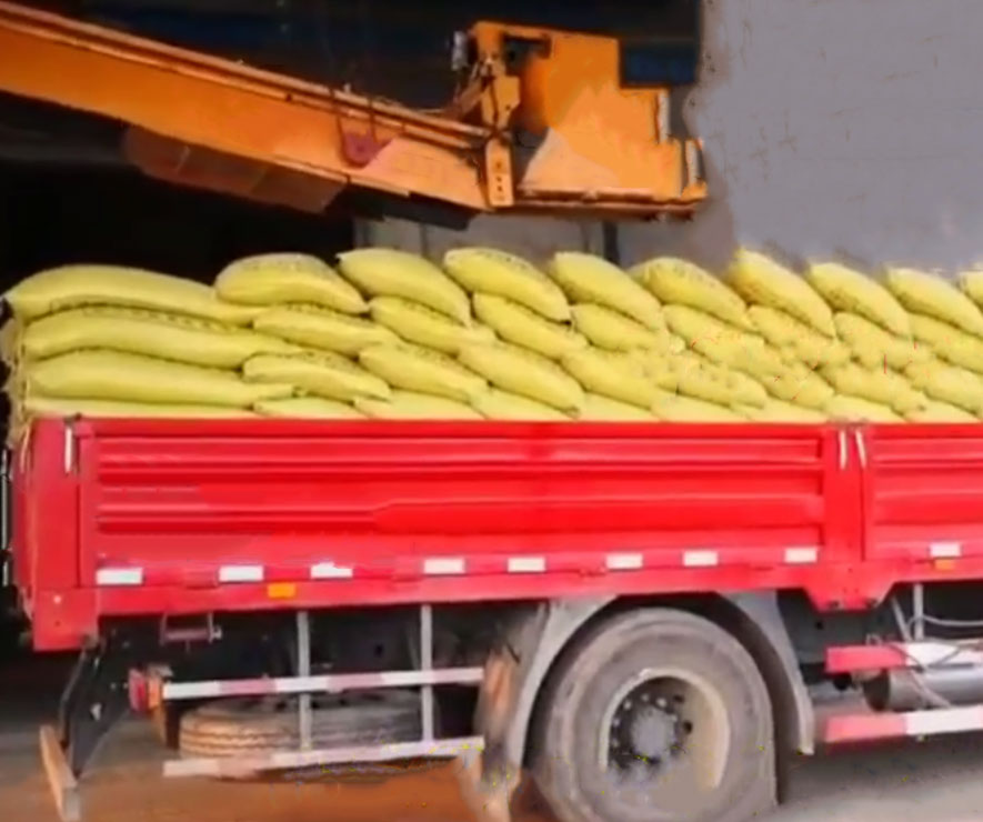 自動(dòng)裝車機(jī) 碼垛裝車機(jī)